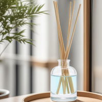 Boîte d'emballage en verre plat pour diffuseur de parfum personnalisé de 3,5 mm, échantillons d'huiles essentielles, diffuseur à roseaux