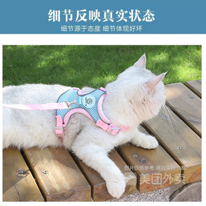 Harnais pour chat en nylon réglable, respirant, réfléchissant, taille petite et moyenne, rose, bleu clair, couleur unie, ensemble laisse pour animal de compagnie - Product Image 3