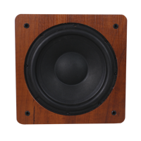 Subwoofer actif haute performance de 10 pouces 300W pour home cinéma, enceintes actives pour connexion arbitraire
