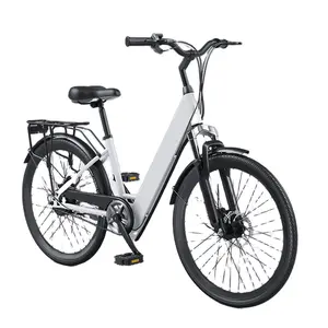 Toptan elektrikli dağ bisikleti özel alüminyum 36V elektrikli 350w lityum elektrikli bisiklet yetişkin uzun menzilli elektrikli bisiklet