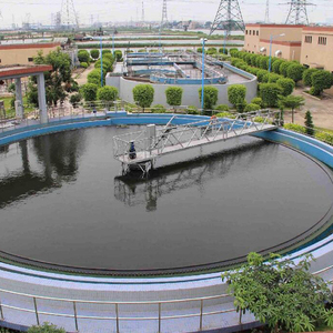 Produttore di raschietti per fanghi con trasmissione centrale del serbatoio di sedimentazione delle acque reflue raschietto per fanghi in acciaio inossidabile 304 per il trattamento delle acque reflue - Product Image 5