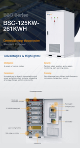 Gabinete <span class=keywords><strong>de</strong></span> Refrigeración Líquida Bluesun a <span class=keywords><strong>Precio</strong></span> <span class=keywords><strong>de</strong></span> Fábrica, 125 kW, con Batería <span class=keywords><strong>de</strong></span> Respaldo <span class=keywords><strong>de</strong></span> 261 kWh y EMS para Comunicación con <span class=keywords><strong>la</strong></span> Red - Product Image 3