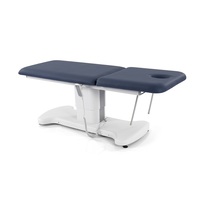 Table de traction 2 sections de lit médical de massage électrique de conception contemporaine pour l'examen d'hôpital