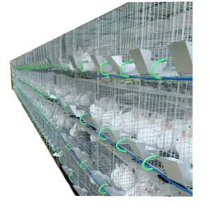 Galvanized commercial rabbit farming cages in africa