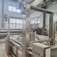 TEK Easy Clean Lifting Type Elektrische Verwarmings Blancheringsmachine Groenten Blancheringsmachine Industriële Blancheringsmachine Prijs