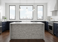 Grande dalle moderne en quartz jade gris argenté du Vietnam de 20 mm pour cuisines, salles de bain, hôtels et comptoirs de table