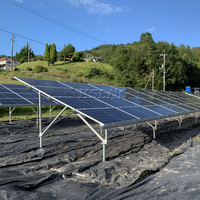 Supports solaires au sol personnalisés, structure de montage au sol en aluminium pour panneaux solaires photovoltaïques avec fondation à vis de terre