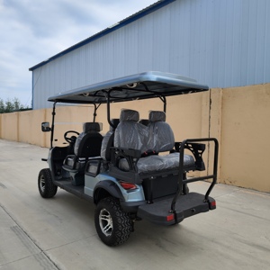 Carrito de Golf Gris de 6 Plazas, 48V 5KW, con Batería de Plomo-Ácido de Acero, en Venta - Product Image 6