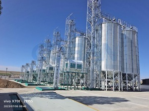 500-5000ton Thép Số Lượng Lớn Ngô Lúa Mì Lưu Trữ Silo Mạ Kẽm Thép Ngô Đậu Nành Bữa Ăn Silo Thùng Cho Trang Trại Thức Ăn Dòng Hoặc Bột Nhà Máy - Product Image 6