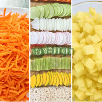 Trancheuse de fruits et légumes multifonctionnelle Trancheuse électrique de légumes Trancheuse de pommes de terre et d'oignons et de concombres