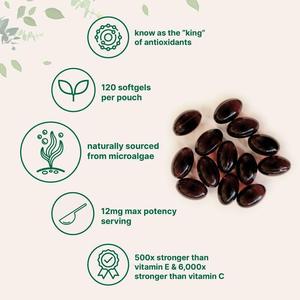 120 gélules d'astaxanthine premium à l'huile MCT, compléments alimentaires en gélules d'astaxanthine pour la santé des yeux, des articulations et de la peau. - Product Image 4