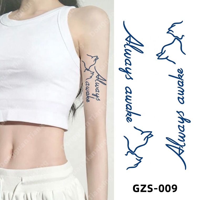 GZS-009