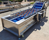 Industriële bubbelwasmachine voor fruit en groenten, tomatenwasmachine