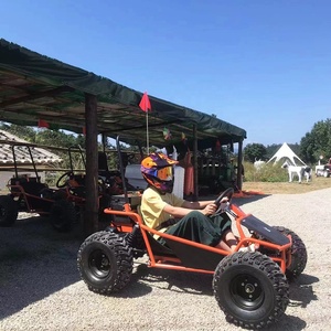 Egs điện tuyết Buggy 48V đôi động cơ đi Kart 1000W trục ổ đĩa phía sau ổ đĩa 150kg tải 40km phạm vi - Product Image 5