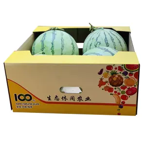 Custom Color Printing Watermelon Gift Packaging Carton Vegetable Fresh Fruits Corrugated Box