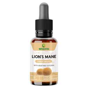 Großhandel Bio Löwen mähne Pilz Flüssigkeits tropfen Gehirn & Gedächtnis Unterstützung Immun Boost Antioxidans Kräuter mischung Ergänzung - Product Image 1