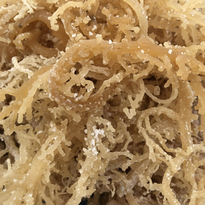 Piezas de algas marinas secas de musgo marino ideales para hornear y aplicaciones culinarias hechas en Vietnam - Product Image 1