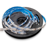 Tira de LED RGB Programable de 12V en Forma de S SMD5050 con Control Inteligente para Letreros Coloridos Personalizados