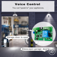 220V 10A WiFi relais carte de commutation 1CH minuterie retard eWeLink APP contrôle sans fil IoT maison intelligente travail avec Alexa Google Home