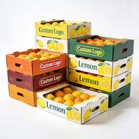 Carton ondulé personnalisé à 5 couches 40x30x15cm, design ventilé, qualité export, prix de gros, boîtes d'expédition pour plateaux de fruits (citron)