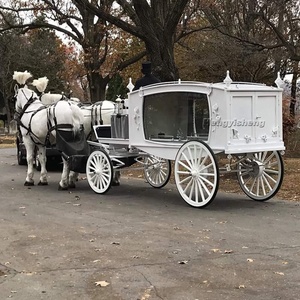 Cercueil mobile électrique, carrosse funéraire sans <span class=keywords><strong>chevaux</strong></span>, remorque funéraire à <span class=keywords><strong>4</strong></span> roues, carrosse funéraire à <span class=keywords><strong>chevaux</strong></span>, fourgon funéraire, cercueil mobile à <span class=keywords><strong>vendre</strong></span> - Product Image 1