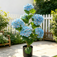 Arbre d'hortensia artificiel 70 cm, toucher réel, plante en pot en caoutchouc souple, fleur d'hortensia artificielle, bonsaï pour la décoration de la maison, du mariage et du jardin