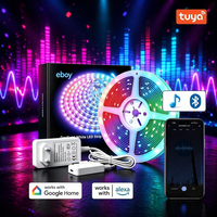 Bande lumineuse intelligente RGBIC à intensité variable avec micro sensible intégré, compatible avec Alexa/Google, application Tuya, contrôle Bluetooth 12/24V pour la maison IP44