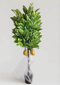 ต้นโกโก้ประดิษฐ์สำหรับตกแต่งภายในบ้าน ร้านกาแฟ และร้านขายเสื้อผ้า ต้นไม้ประดับสีเขียว - Product Image 5