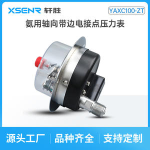Yaxc 100Zt Axial Ammonia Electric Contact Pressure <b>Gauge</b> Analog Panel Type 100mm 1.6 Accuracy <b>Thread</b> Connection - Product Image 5