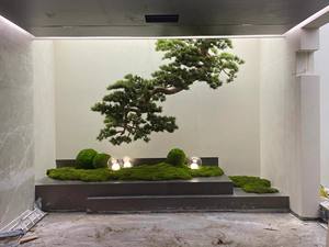迎宾用的仿真松树，酒店会所窗户装饰，倒挂悬崖景观 - Product Image 3