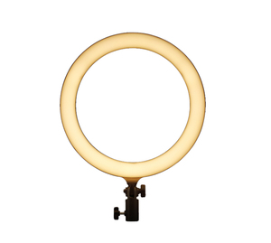 Lampe <span class=keywords><strong>annulaire</strong></span> LED Lr120, lumière <span class=keywords><strong>annulaire</strong></span> bicolore 3000k-6000k, lampes annulaires pour vidéo YouTube, éclairage de maquillage - Product Image 4