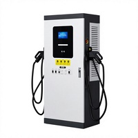 Borne de Recharge Rapide pour Véhicules Électriques DC 60kW 80kW CCS1 CCS2 CHAdeMO GBT J1772 NACS Type1 Type2 Intelligente OCPP sur Pied Fabrication OEM