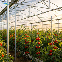 Serre tunnel agricole en acier galvanisé à simple travée avec bâche thermique pour l'hiver