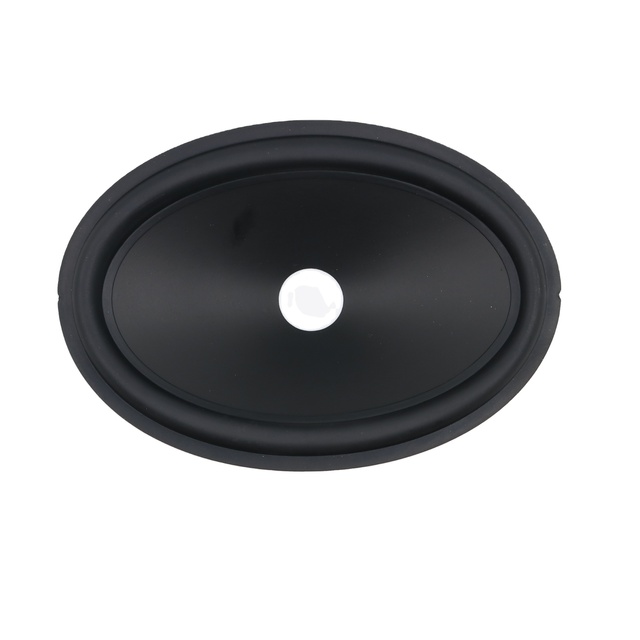 Factory Wholesale 6*9 Inch Oem Odm Pro Audio Speaker pp Cone