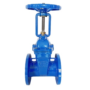 Clapet à opercule manuel en fonte ductile ANSI, prix usine - Product Image 6