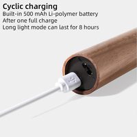 Veilleuse ABS avec détecteur de mouvement pour la décoration intérieure, lampe murale LED sans fil USB en bois, design moderne, magnétique pour armoire et placard