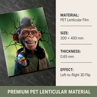 Más de 200 Diseños en Stock, Nuevas Imágenes con Efecto 3D, Impresiones Lenticulares 3D de Plástico Ecológico, Pósters de Anime para Decoración