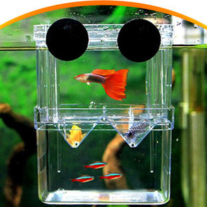 Caja de acrílico para cría de peces en Acuario, Incubadora de incubación de <span class=keywords><strong>doble</strong></span> Guppies, Caja de aislamiento, accesorios para pecera - Product Image 6