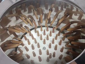 Equipo de matanza Máquina peladora de pies de pollo Pies de pollo y pelador de plumas - Product Image 4