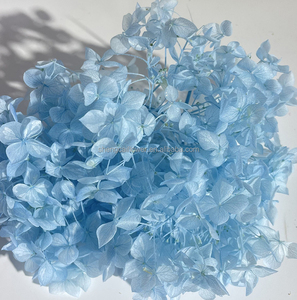 Pétales stabilisés, mousse et plantes murales, cadeau décoratif, vente en gros, <span class=keywords><strong>fleurs</strong></span> réelles, bouquet de roses et hortensias au toucher réel - Product Image 3