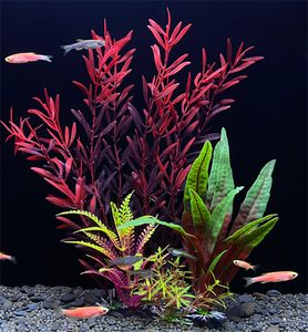 Nouvelle arrivée différents types de Wers et plantes artificielles en gros - Product Image 2