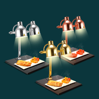 Équipement de cuisine d'hôtel commercial en acier inoxydable, chauffe-plats buffet 220v/50hz/500w, lampe chauffante pour aliments à 2 lumières