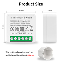 Bingoelec 16A 1gang 2Way TUYA WiFi Smart Mini Switch Module avec Module de commutateur de lumière tactile à fil neutre
