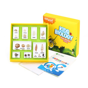 Gelsonlab HSKS-2722 Büyüme Douglas Gömülü biyolojik örnekler Öğretim gömülü örnekler - Product Image 4