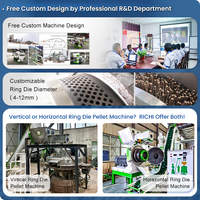 Mesin Produksi Bentonit Pasir Kucing Tipe Ring Die Ukuran Kustom RICHI, Output Tinggi untuk Pelet Pasir Kucing