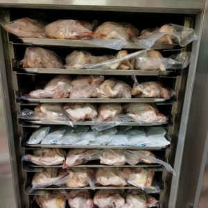 IQF Thương Mại Công Nghiệp Thép Không Gỉ Xoắn Ốc Tủ Đông 10-Khay Blast Tủ Đông Với Nhanh Chóng Dễ Dàng Thực Phẩm Đông Lạnh Động Cơ Sốc Tủ - Product Image 5