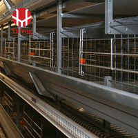 Équipement clé en main pour élevages avicoles à grande échelle : Système d'alimentation et d'abreuvement automatique multicouche pour l'élevage de 5 000 à 50 000 poules pondeuses