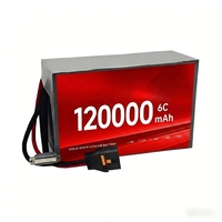 Batterie solide à basse température supérieure 7C 6S 22S 24S 88000mAh 120000mAh 320Wh/kg pour Evtol/UAV à voilure fixe/Drone multirotor