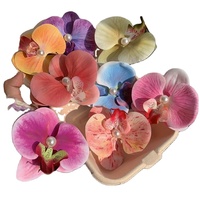 Pinces à Cheveux Fleurs d'Orchidée Bohèmes Colorées Meilleures Ventes, Barrettes de Style Doux et Tendance, Jolies Pinces à Cheveux Distinctives