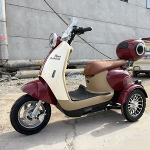 EasyRide Efficient Cruiser - Product Image 3
